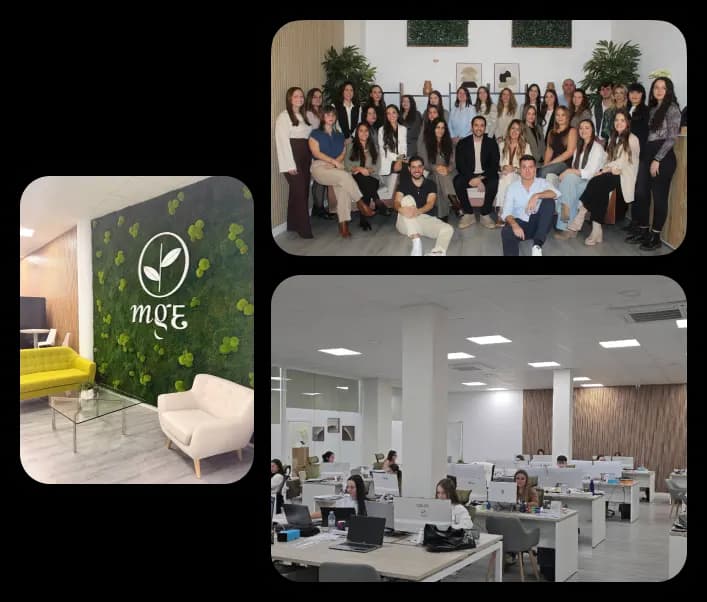 Equipo de Synexis gestionando trámites de vehículos